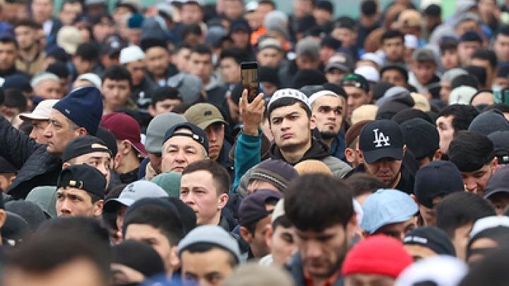 Фото: globallookpress.com/Petrov Sergey