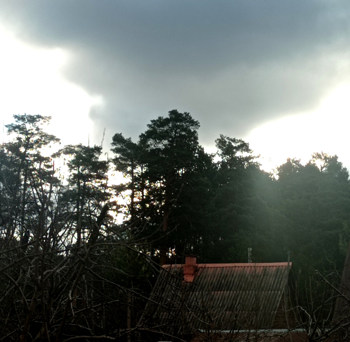 Ну и погодка