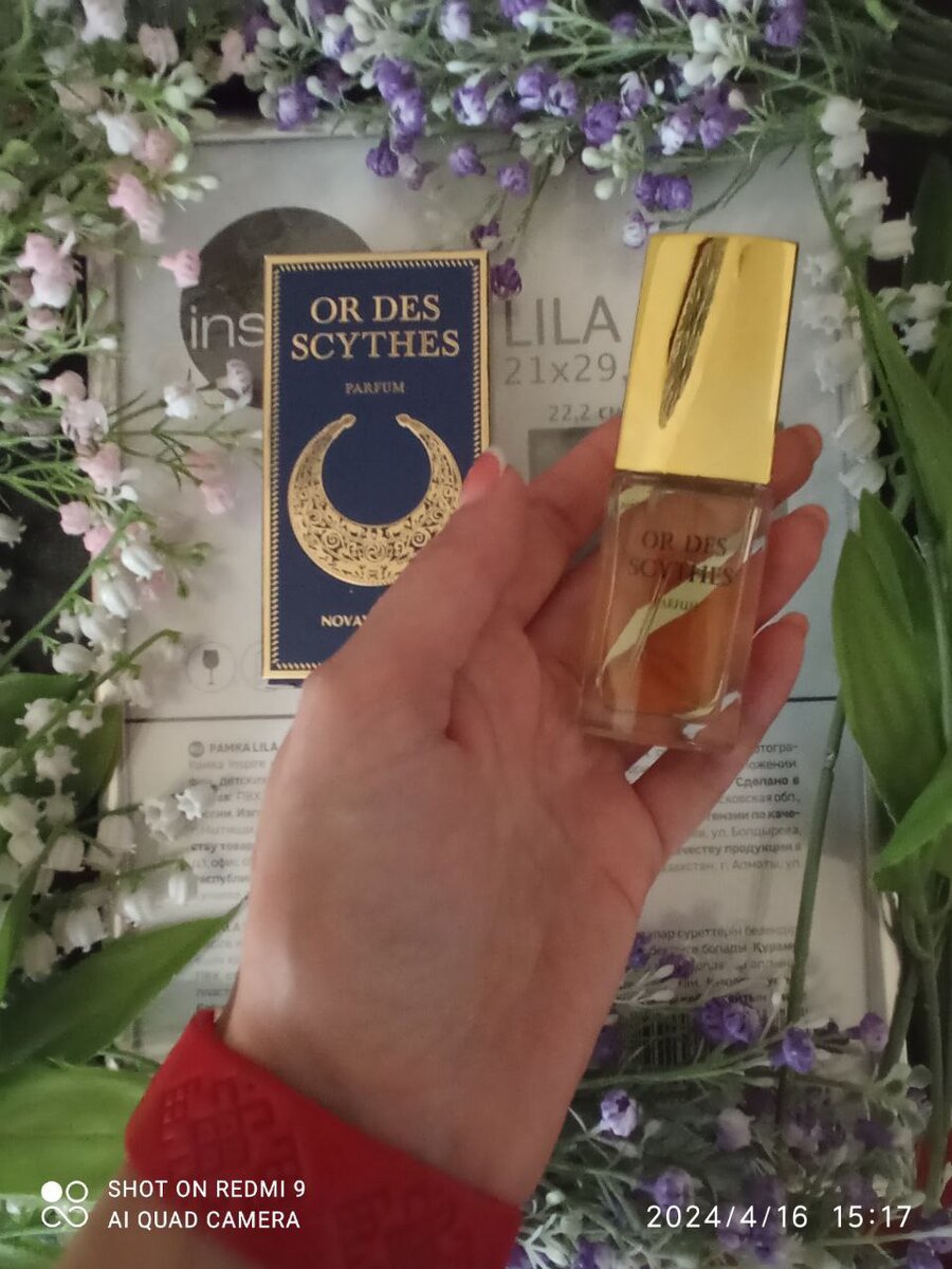 Злато Скифов, Новая Заря 