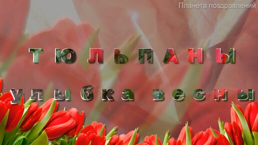 Тюльпаны улыбка весны, муз. В. Шаинский - сл. М. Геттуев