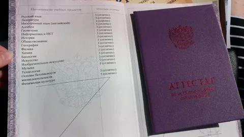 Красный аттестат 9 класс