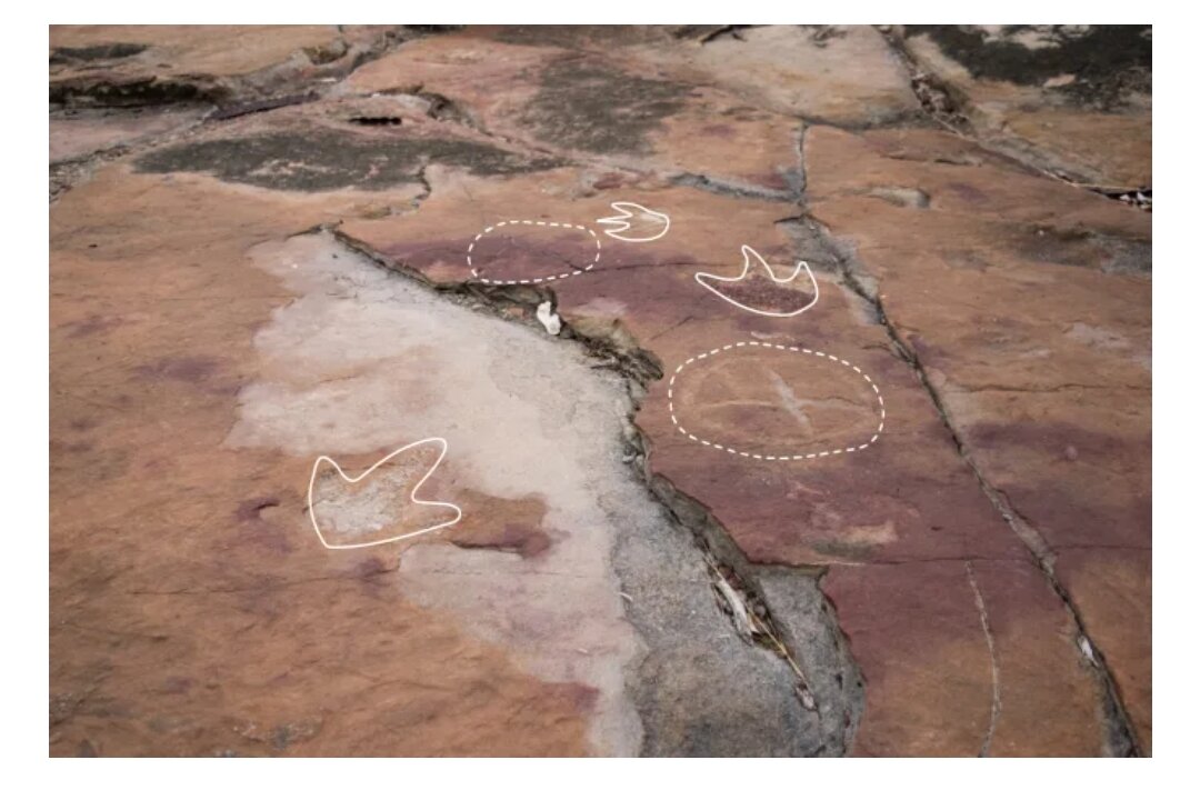 Пунктирной линией обозначены петроглифы, сделанные коренными народами, а сплошной линией показаны следы динозавров-теропод.