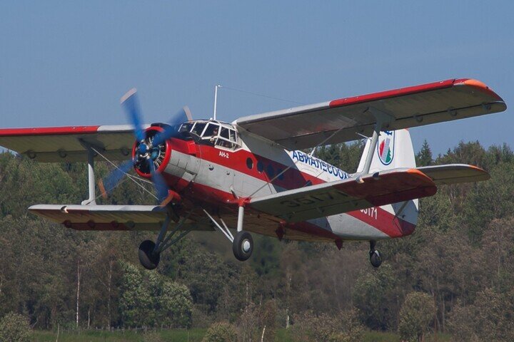 Фото: wikipedia