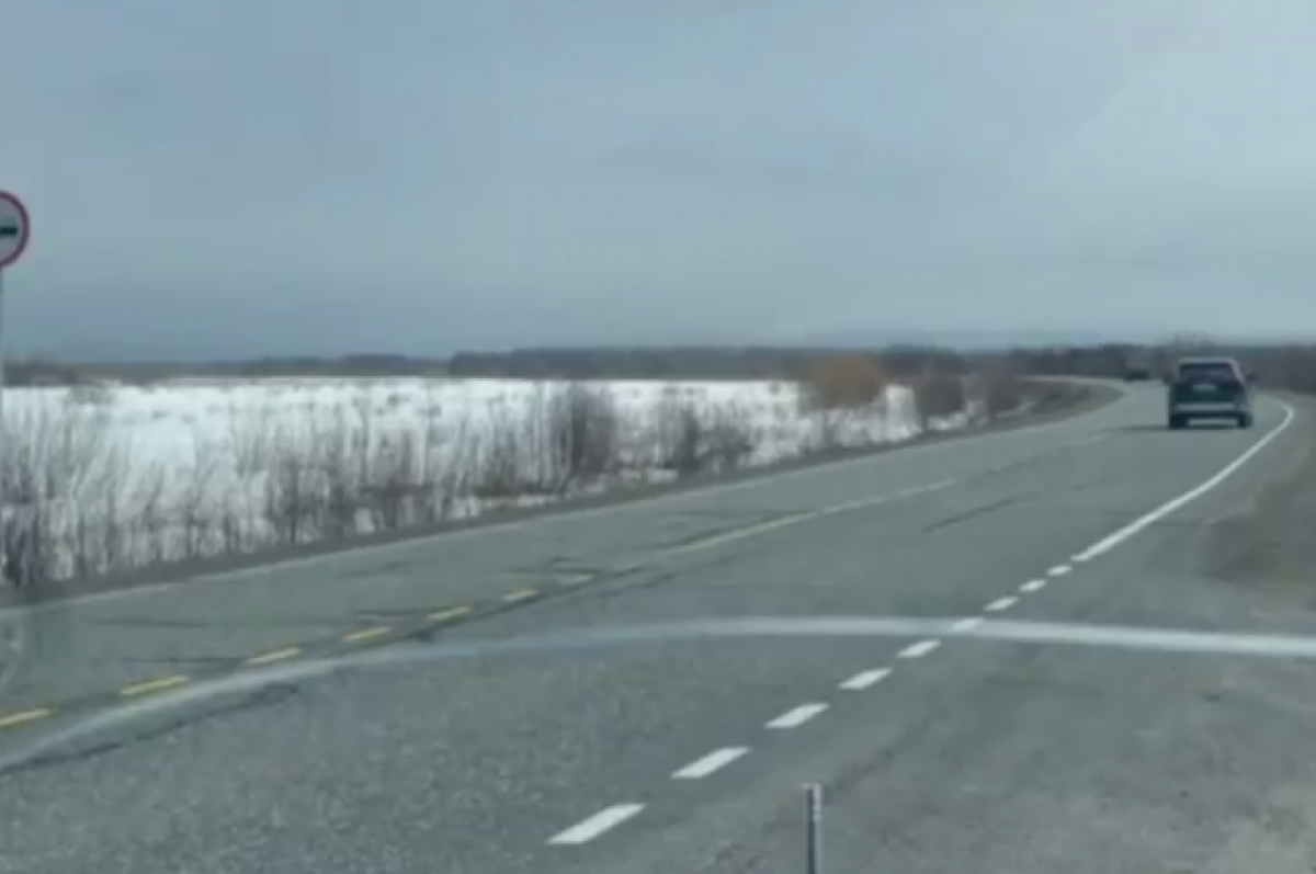    На Камчатке скрытые патрули ГИБДД дежурят на опасных участках