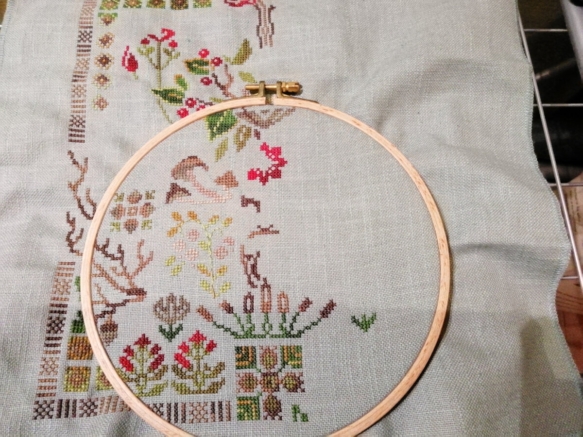 "Совиный Лес". Фото автора