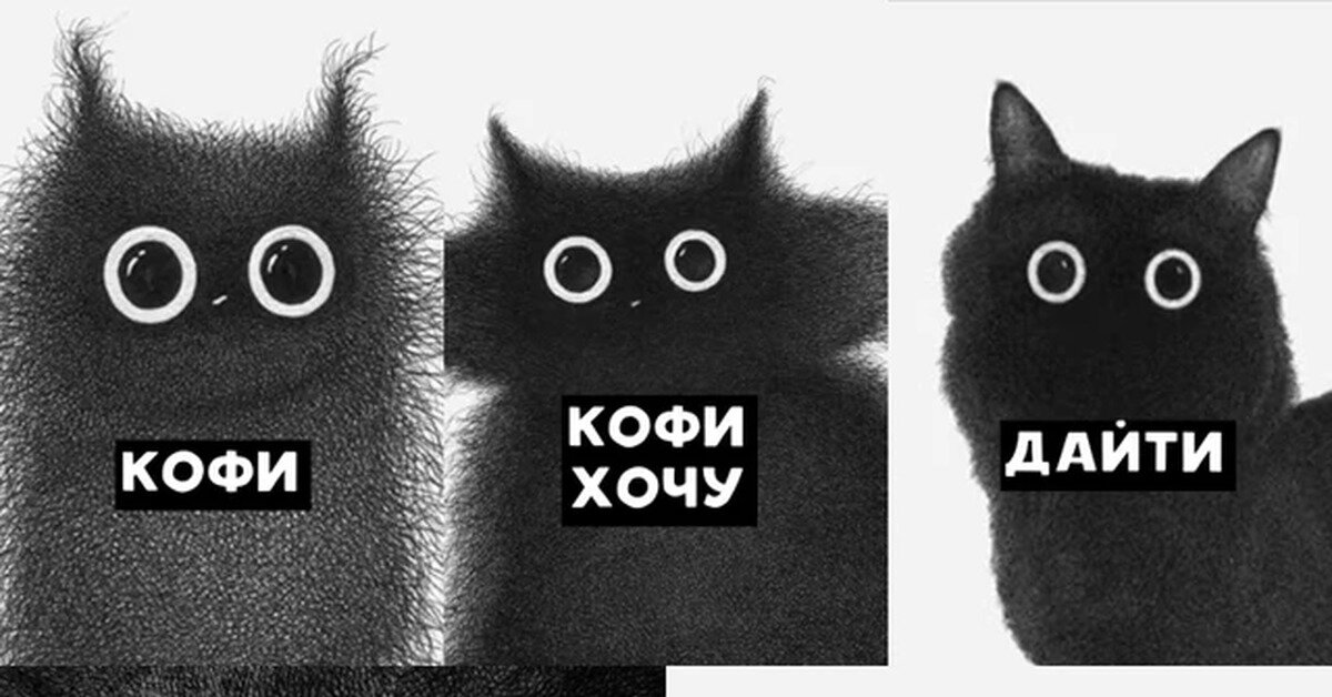 Дашь мем с котом