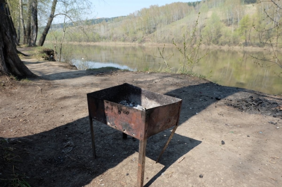    С 15 апреля введен запрет на жарку шашлыков в Новосибирской области