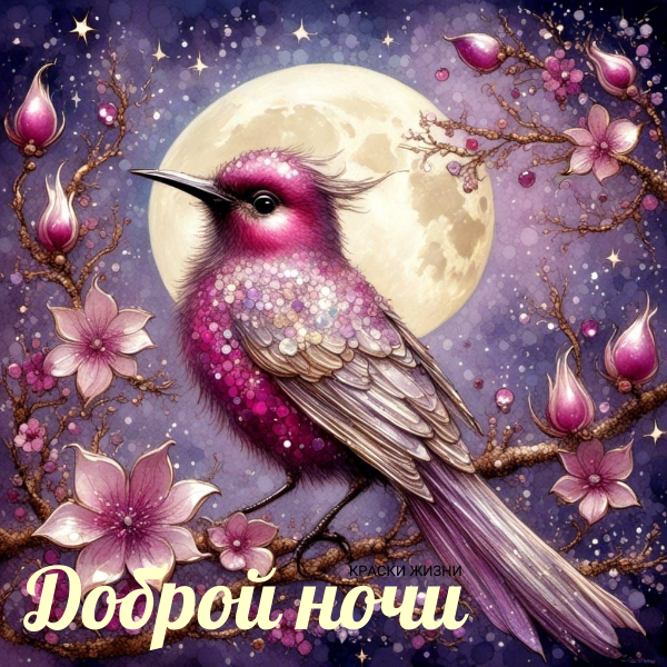 Доброй ночи 