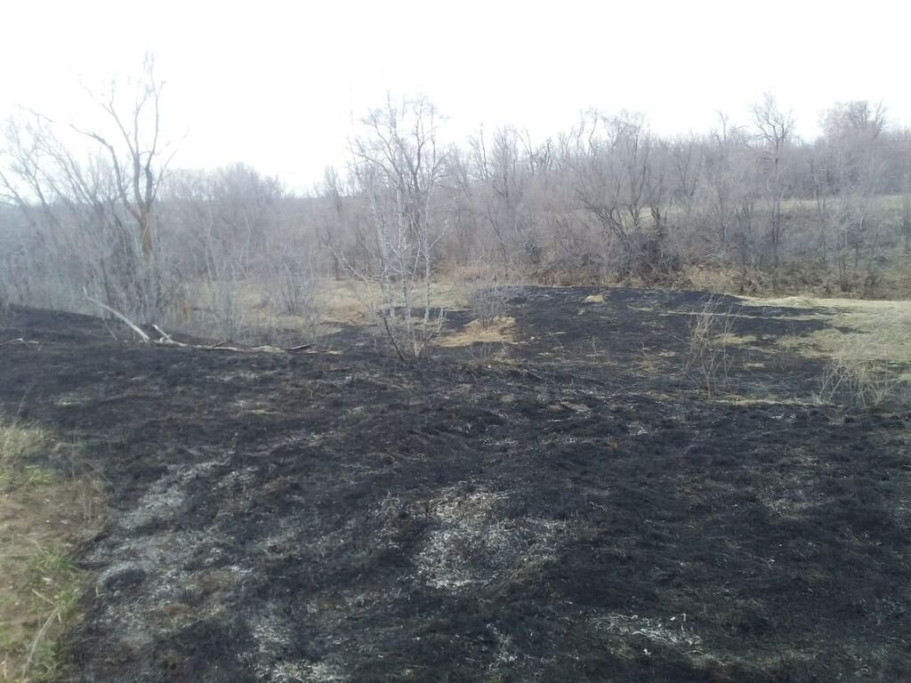    Вслед за паводком в Оренбургскую область пришли первые природные пожары