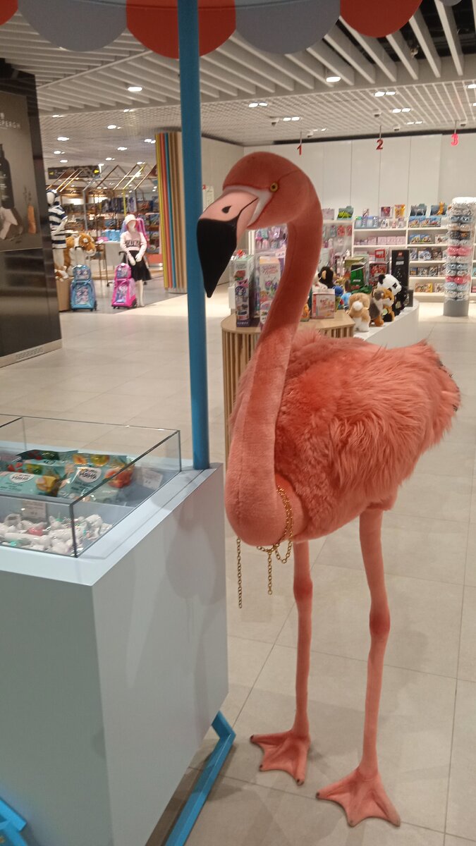 Зона дьюти фри в Домодедово