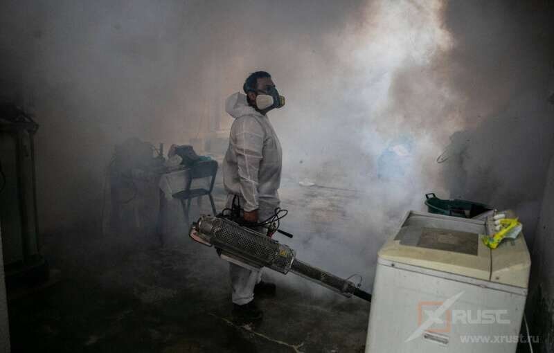  Смерть от лихорадки денге сдерживается правительством Перу. Оное заявило об удвоении мер. Однако, смертность утроилась. Страдают беднейшие слои.
