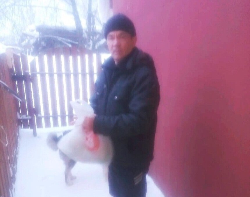 Хозяин бросил кошку на снег и ушёл. Таких хозяев никому не пожелаешь(((