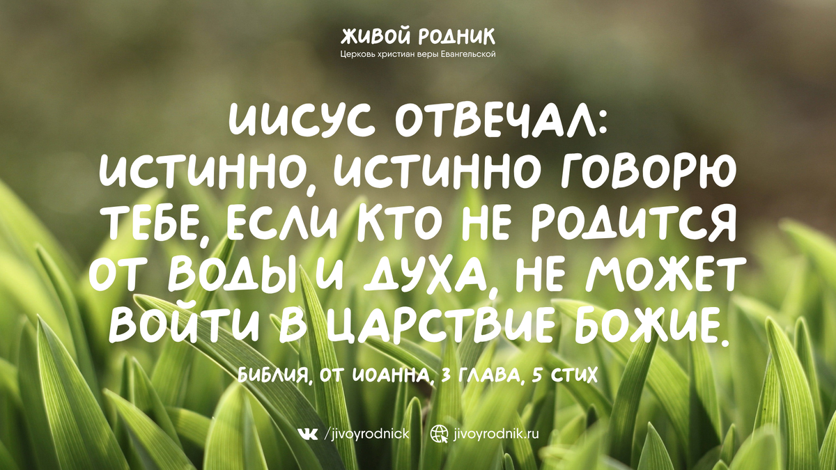 Плотские или духовные? | Бог желает спасти тебя | Дзен