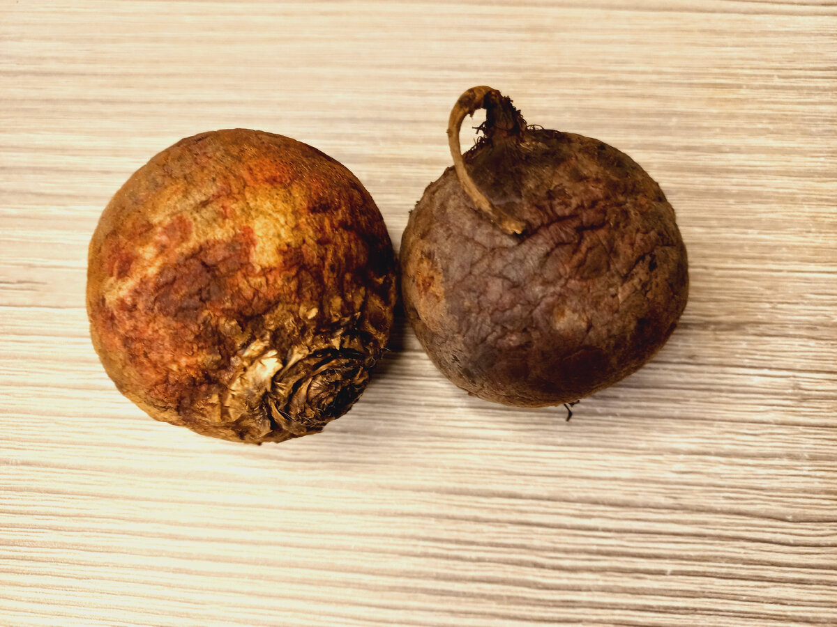 Свекла из духовки.