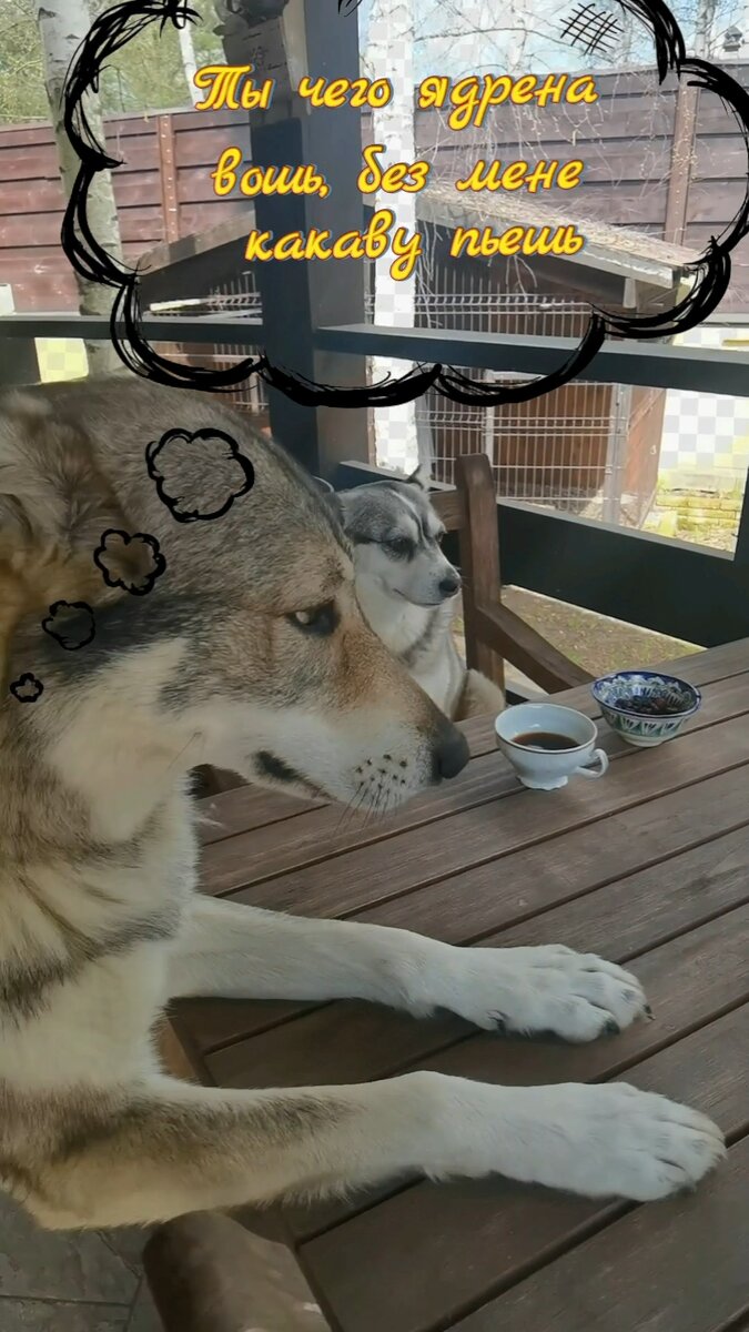 Свежий запах благородного напитка действует безотказно 