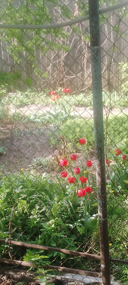 Личное фото