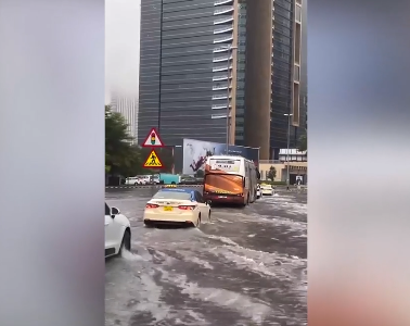 Фото: кадр из видео Оксана Лазарева  📷
