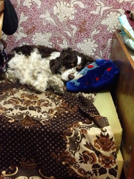 Собственная подушка