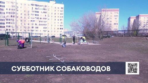 Владельцы собак из Нижнекамска рассказали о важности уборки за своими питомцами