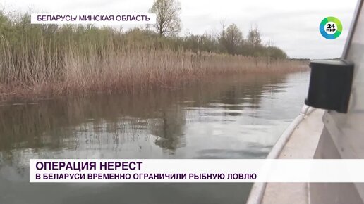 Рыбную ловлю временно ограничили в Беларуси