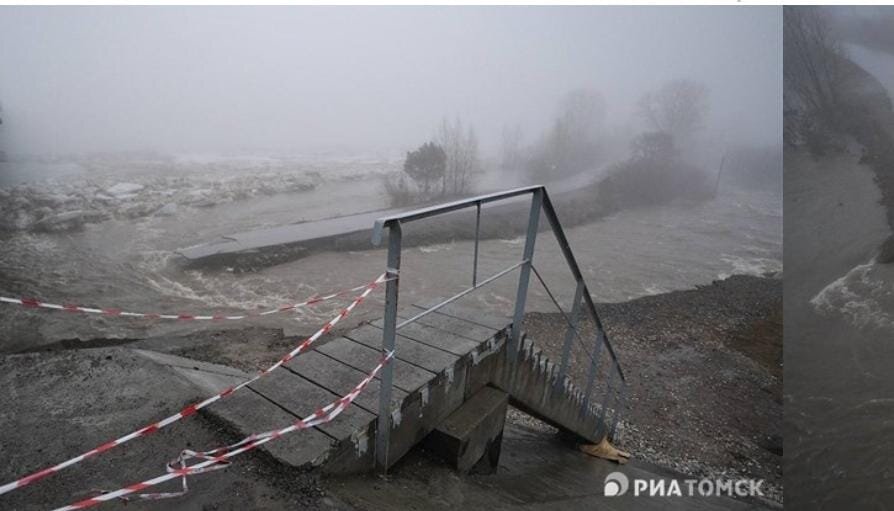 Картинка взята из общей сети Интернет. РИА Томск.
