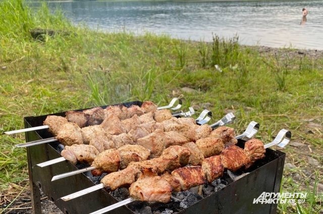    В Татарстане назвали условия для спокойной жарки шашлыков на природе.