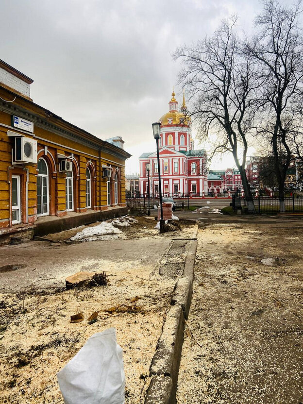    В исторической части Кирова спилили взрослое дерево