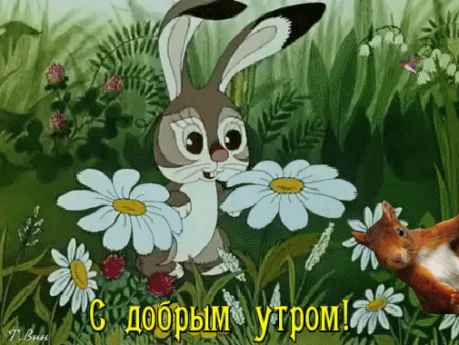 Фото и анимационные картинки с сайтов: 3d-galleru.ru, dobrogoutra.ru, photowords.ru, imagename.ru, giffs.ru. 