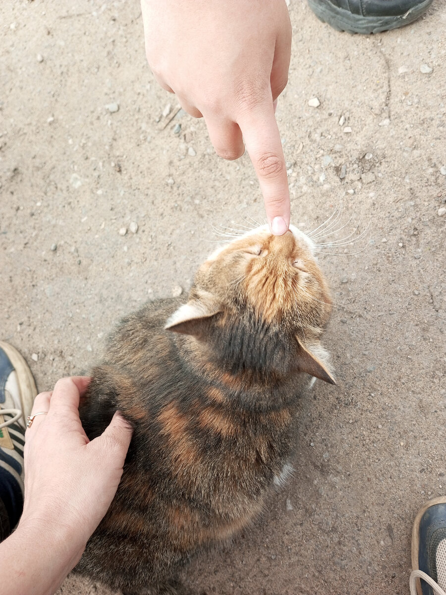 Проходящая мимо девочка тоже руку подсунула