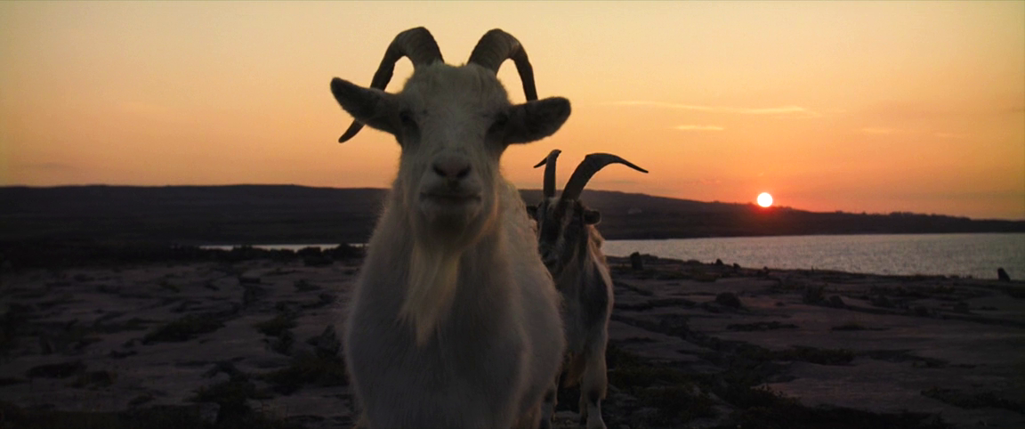 Добавьте описание