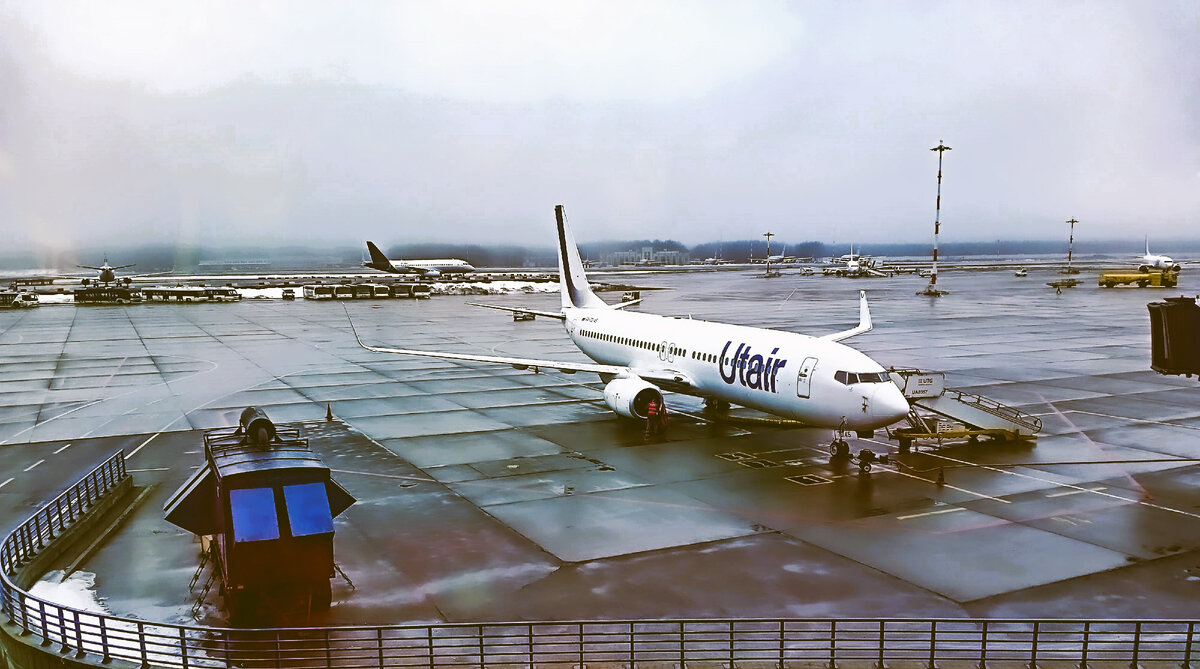 Аэропорт Внуково 24.03.2024