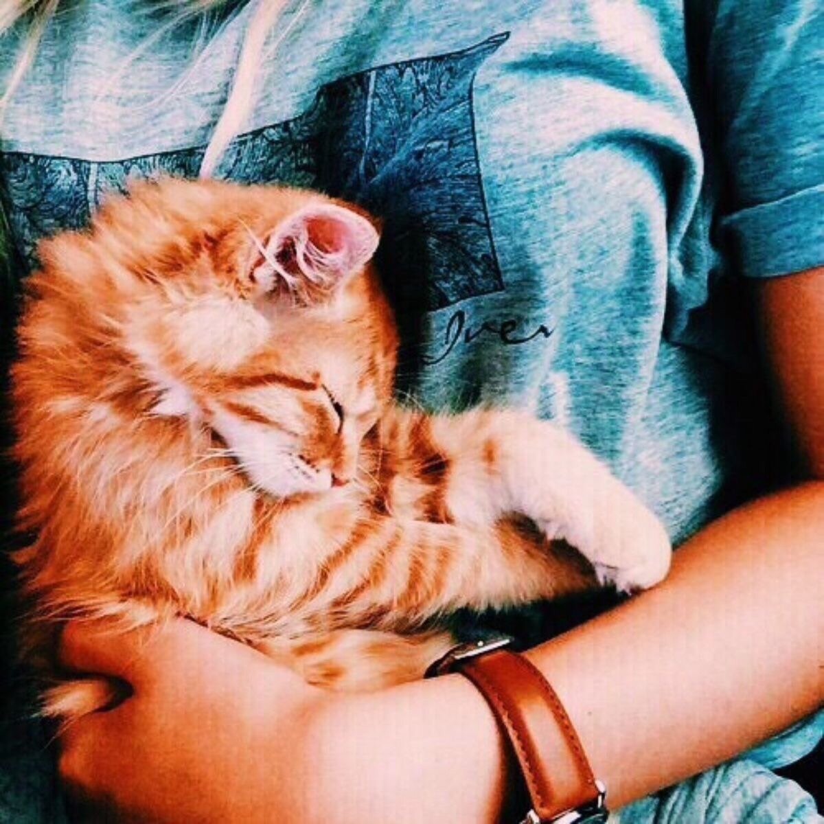 Какой ты прехорошенький, яндекс картинки 