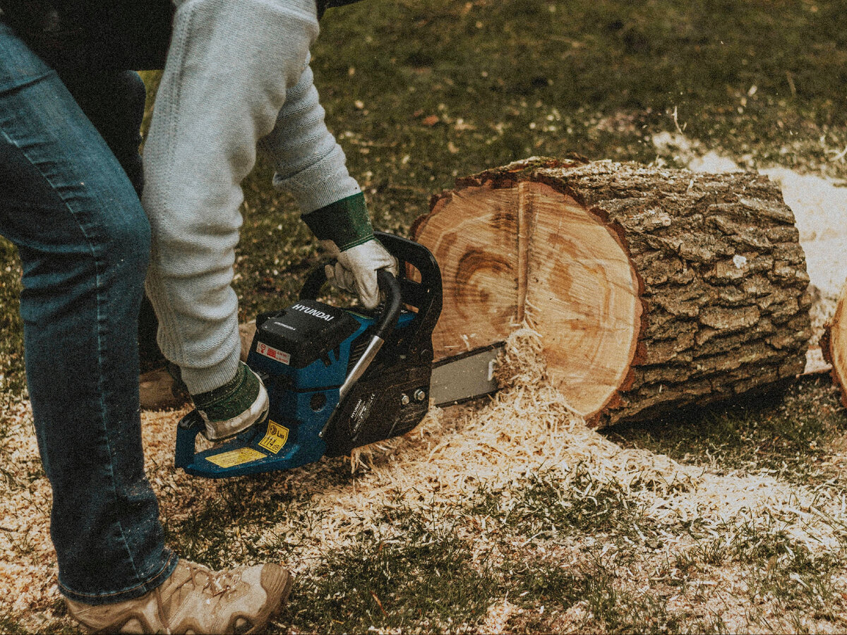 Фото с Unsplash.