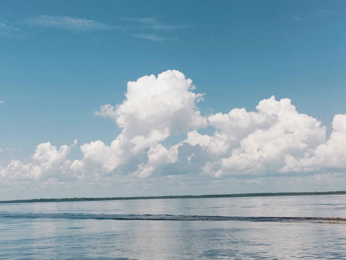 Фото с Unsplash.