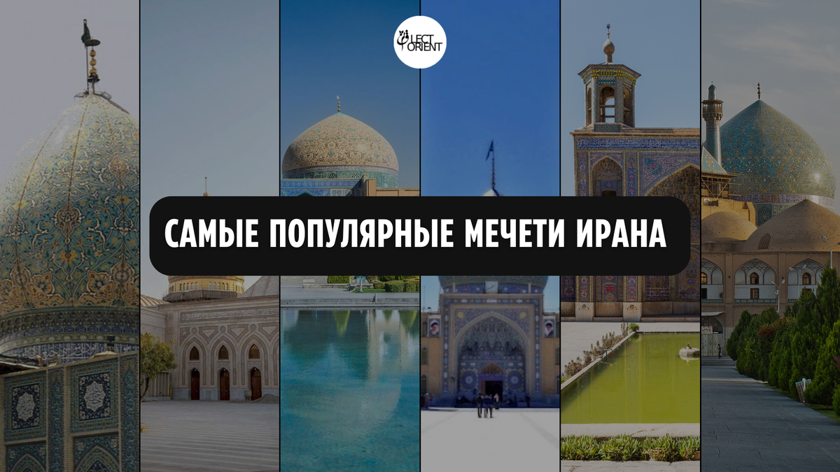 Фото составлено в редакторе Canva с помощью фотографий из отрытого ресурса интернет
