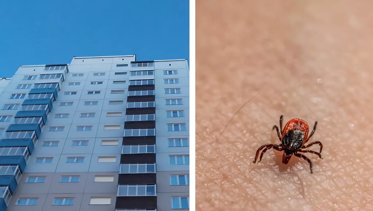     Источник: 2gis.ru / unsplash.com