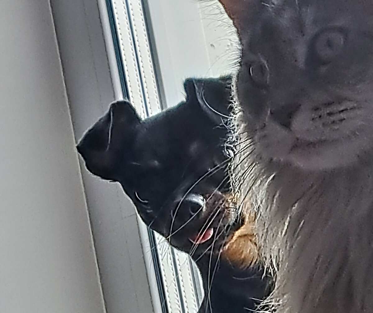 фото автора. Просто делайте так при встрече