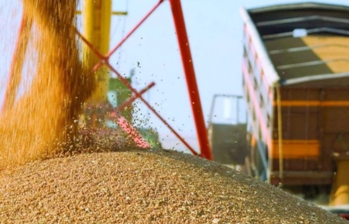    Литва возобновила закупки российского зерна после перерыва на полгода