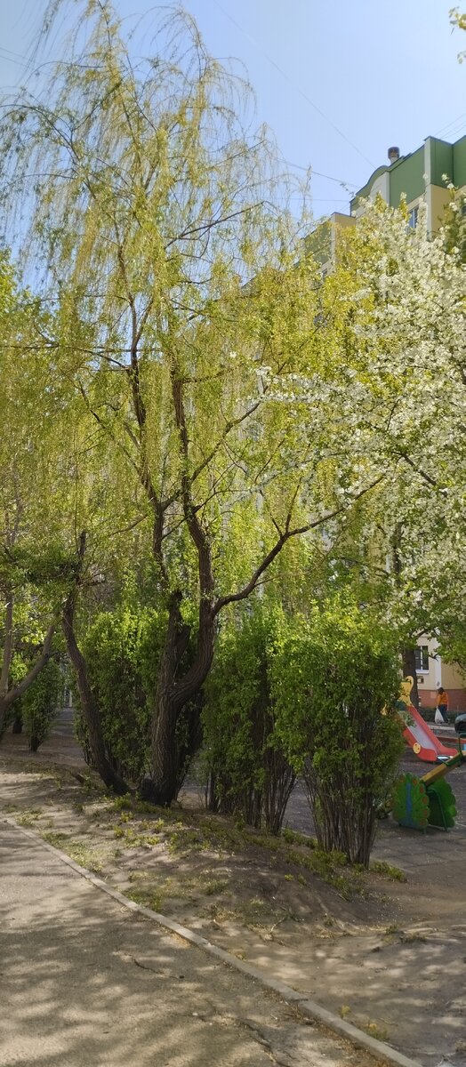Воронеж