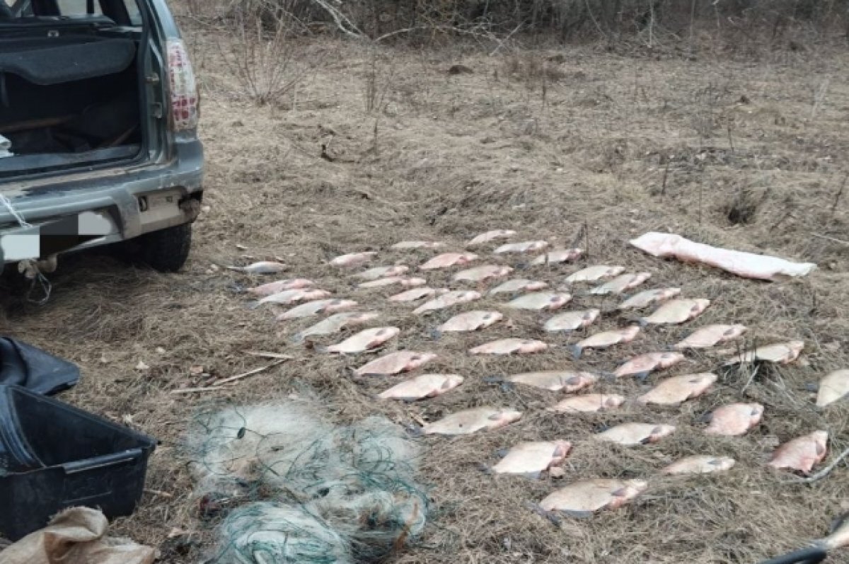    Полиция выявила незаконную ловлю рыбы сетями в период нереста в Башкирии