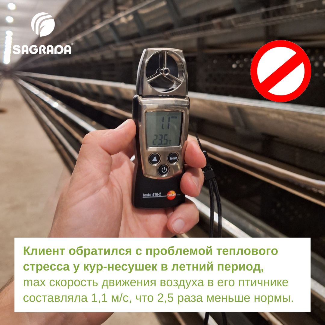 ➡️➡️➡️ Листайте галерею картинок