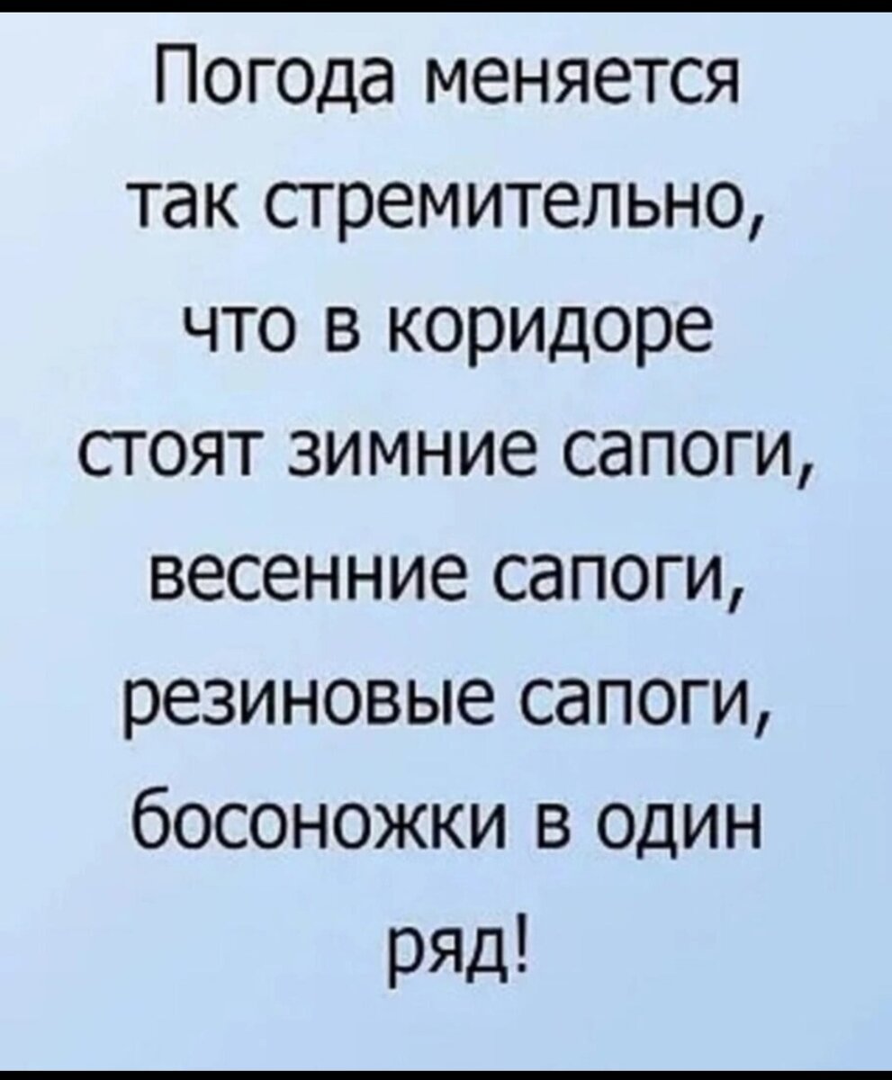 Про злых и ,,необычных,, клиентов... | Лариса Васильева@,,Lissa,, , истории  из жизни ИПэшника . | Дзен