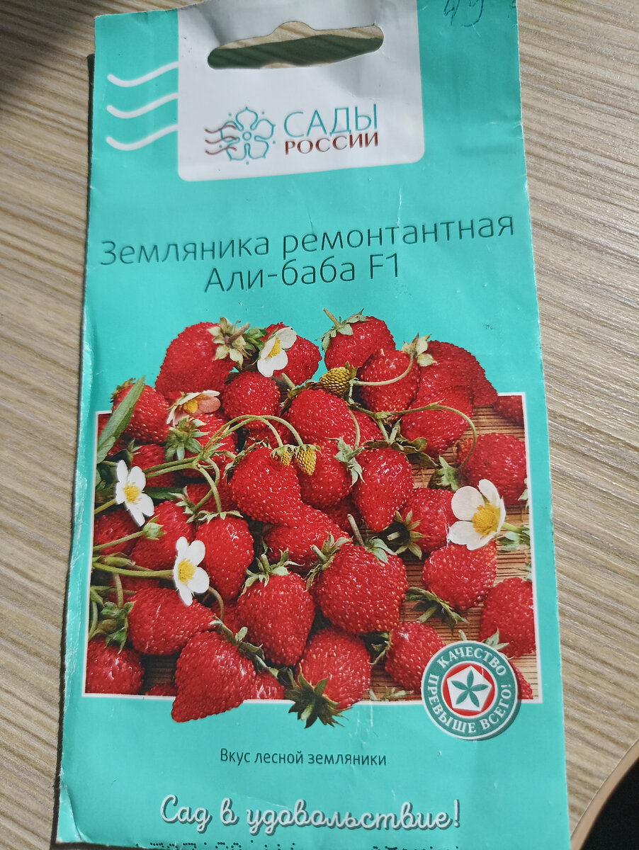 Земляника из семян.Лучшие сорта и гибриды. Размножение. | Про жизнь. Все  просто! | Дзен