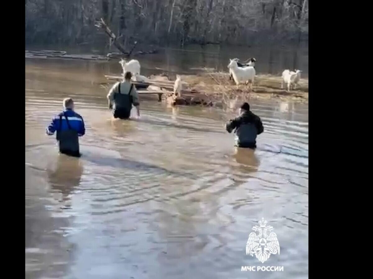    Работа спасателей в оренбургской области© МЧС РФ