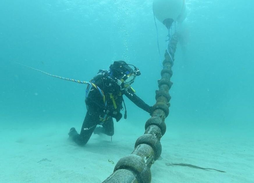 Иллюстрация из открытых источников