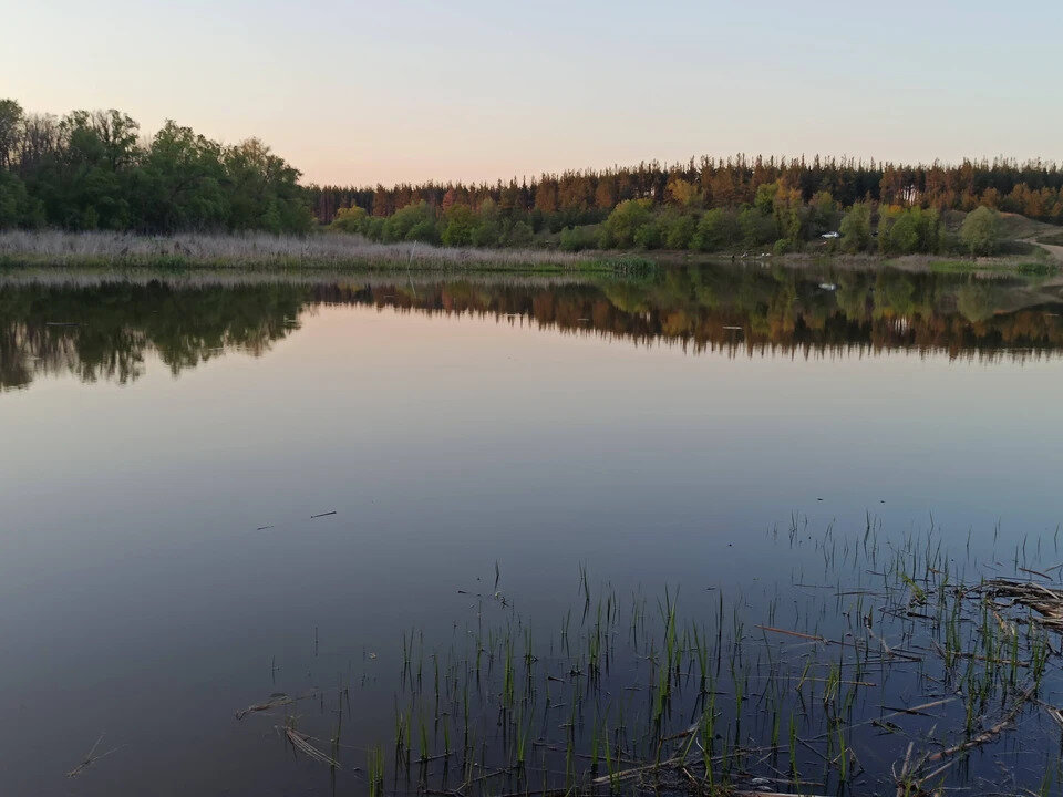    Автомобиль, в котором находились бойцы СВО, утонул в реке Дон во время переправы через разведённый понтонный мост    
Фото: www.vrn.kp.ru / Анна Гребенкина