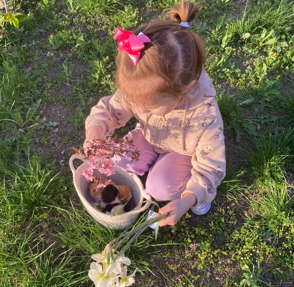С котятами