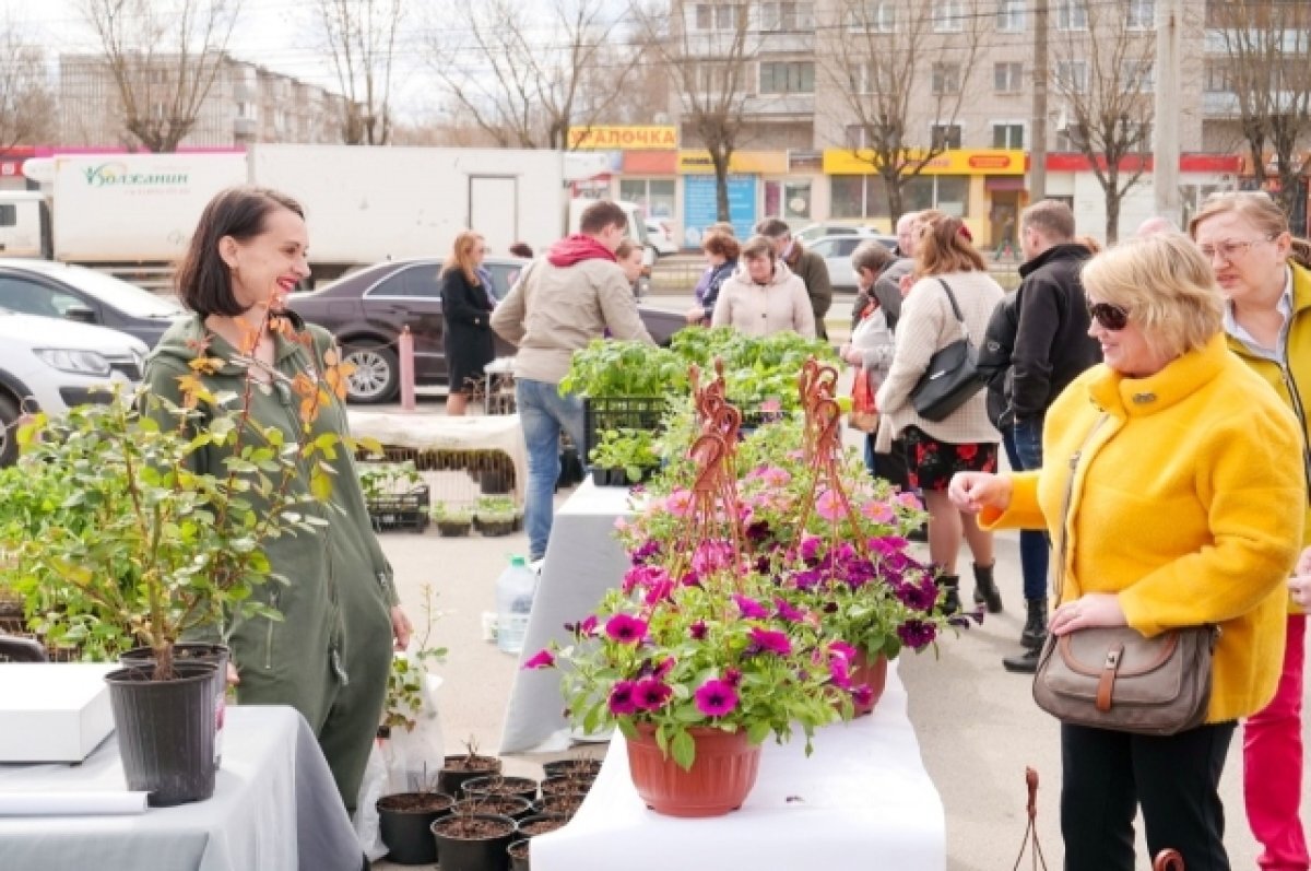    В Иванове пройдет фестиваль сада и огорода