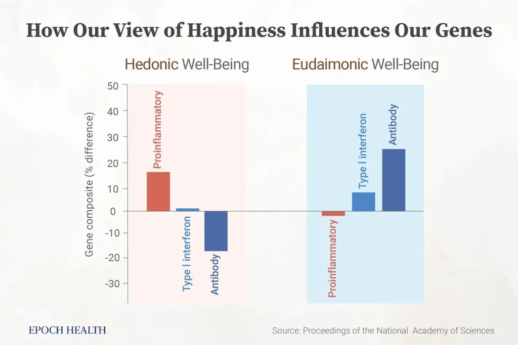 Наши взгляды на благополучие влияют на экспрессию наших генов. (The Epoch Times)