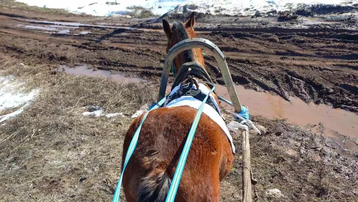     Жители Мулянки много раз жаловались на бездорожье.